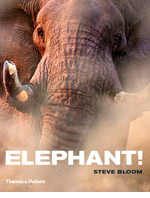 Elephant! (2006)