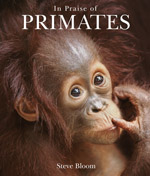 In Praise of Primates (1999)